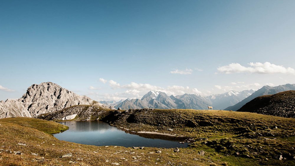 Die schönsten Bilder aus dem und rund um den Jagdhof