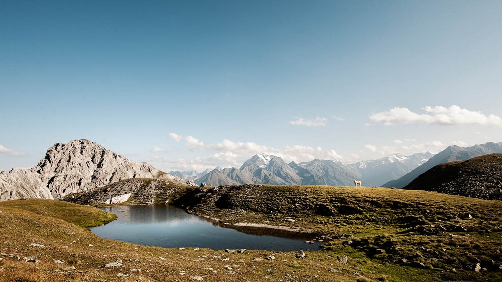 Die schönsten Bilder aus dem und rund um den Jagdhof