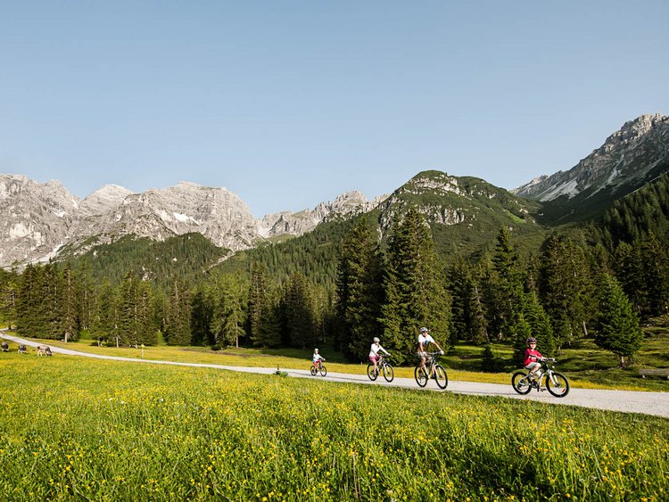 Family biking on path through blooming alpine meadow in the mountains