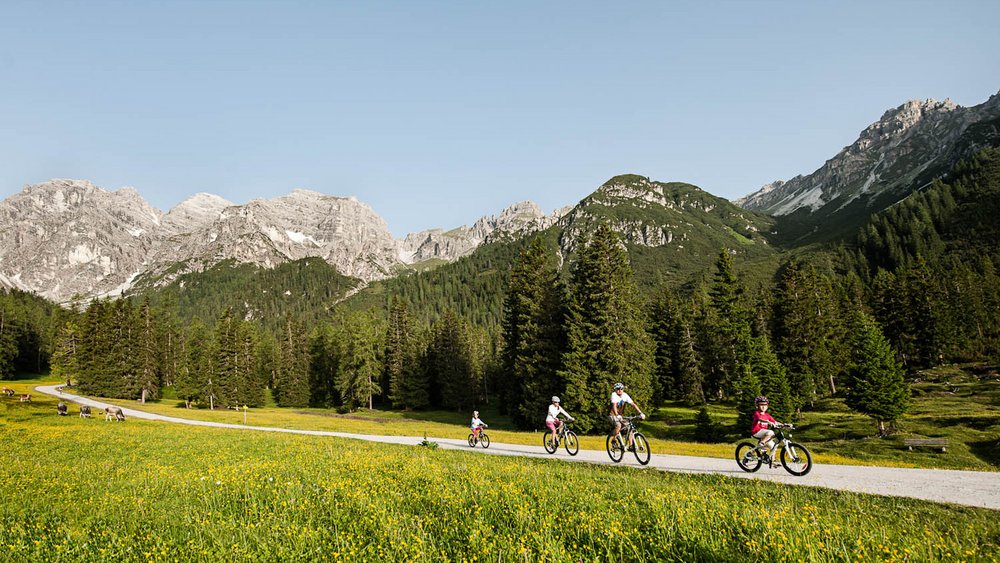 Die schönsten Bilder aus dem und rund um den Jagdhof