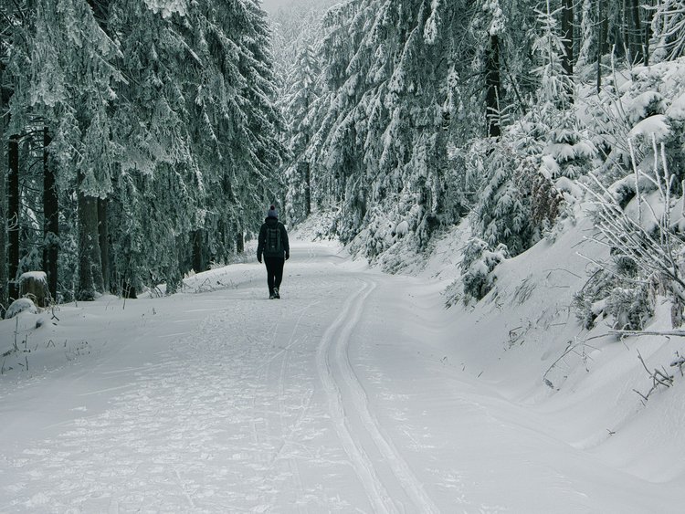 Jagdhof, il vostro hotel con palestra in Austria Persona cammina su sentiero innevato con alberi coperti di neve