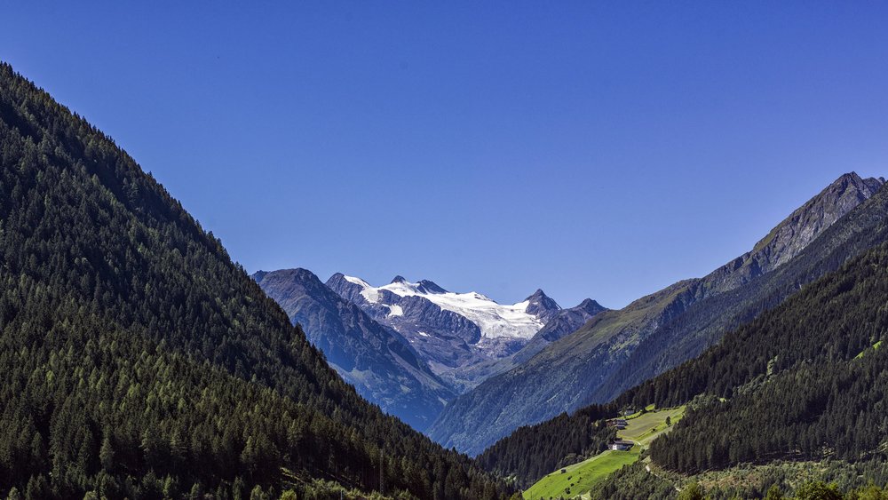 Die schönsten Bilder aus dem und rund um den Jagdhof