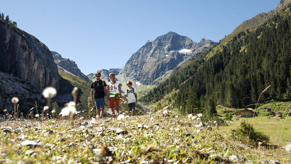 Die schönsten Bilder aus dem und rund um den Jagdhof