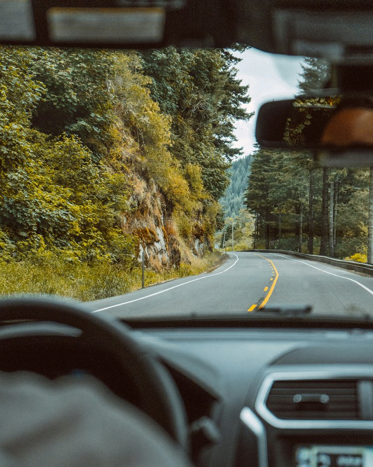 Blick aus einem Auto auf eine kurvige Straße mit Bäumen auf beiden Seiten