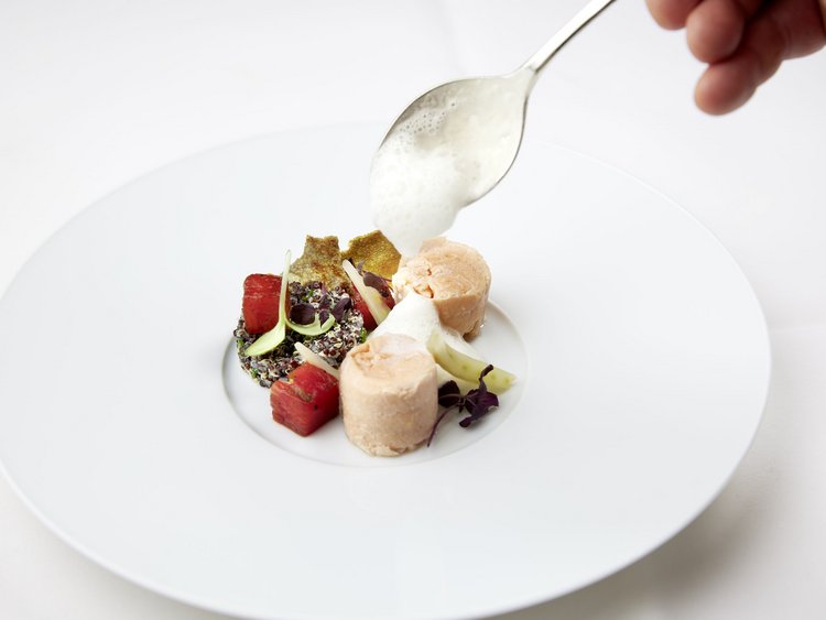 Fein angerichtete Gourmet-Vorspeise auf weißem Teller mit Schaumsoße