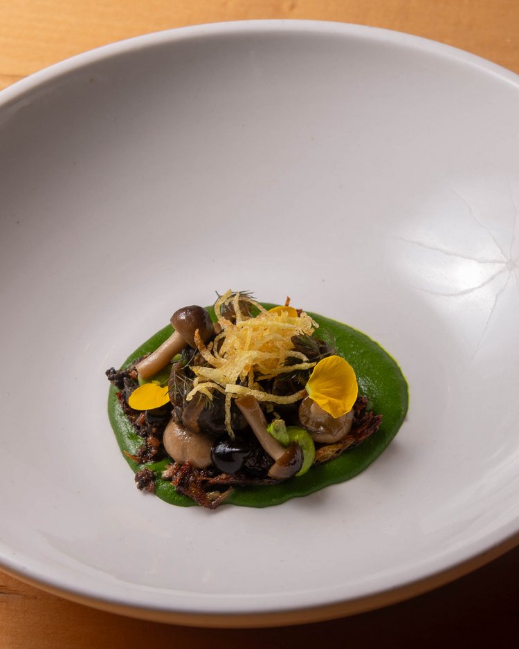 Fein angerichtete Pilzgerichte mit grüner Sauce und Blüten in weißer Schale